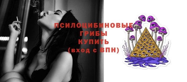 spice Верхний Тагил